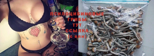 соль ск Покачи