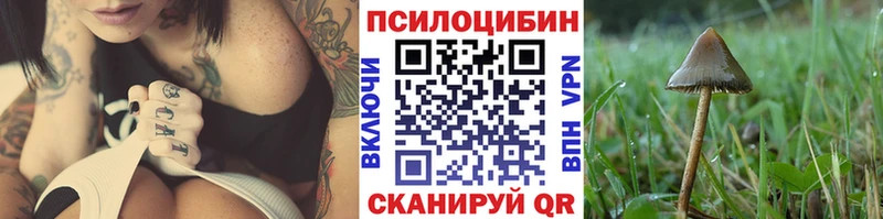 Псилоцибиновые грибы Magic Shrooms Вилюйск